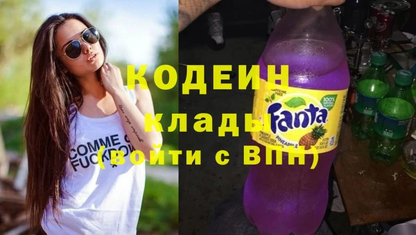 прущие грибы Аркадак
