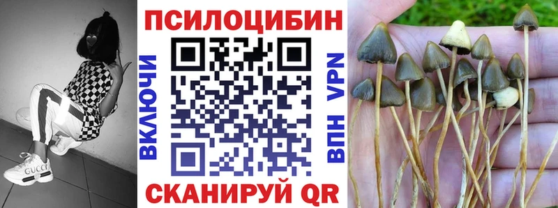 блэк спрут ссылки Черноголовка Галлюциногенные грибы Cubensis