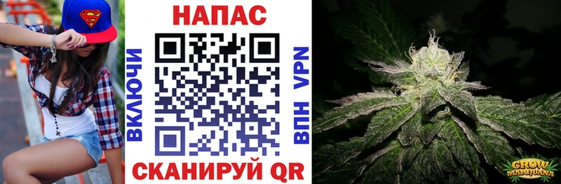 Конопля THC 21%  Черноголовка 